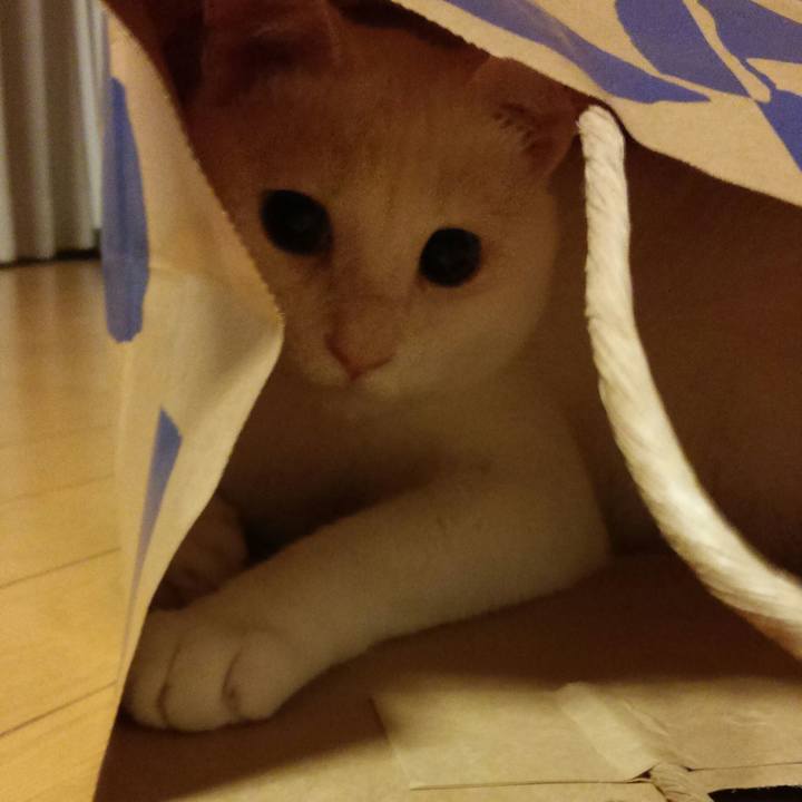 636c1817 8930 487d b573 fcd67d9bfe17