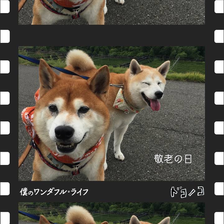 636c265b 94a4 4dd9 b8f5 5828f4548a9f