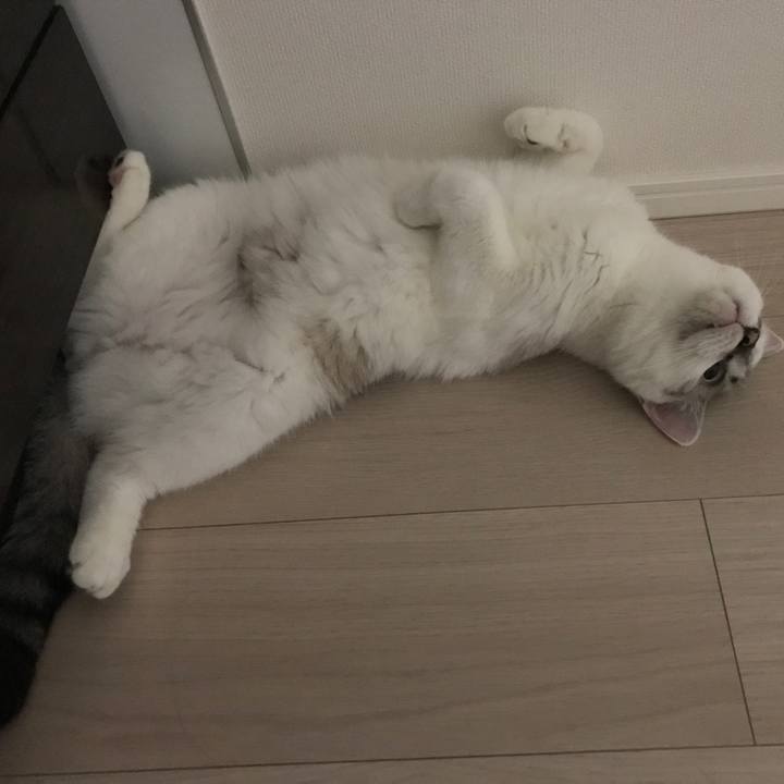 636cc005 fc49 4968 87a8 f7e21eef2dff