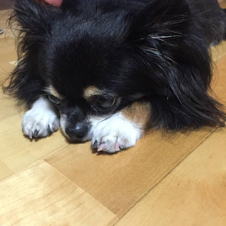 636cdb3f e701 48bf bad6 9011b8fc1f1b