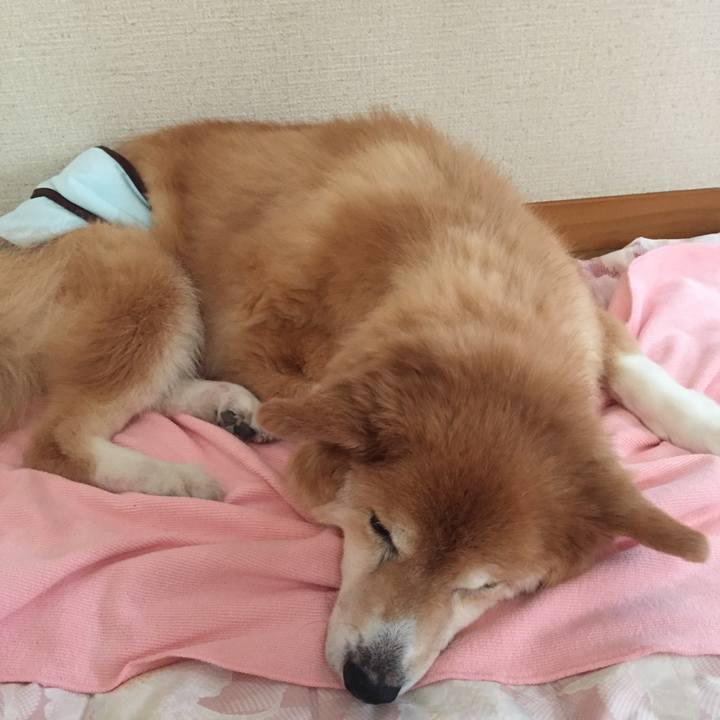 636d1936 2d45 4b71 9436 b8e0c01639d6