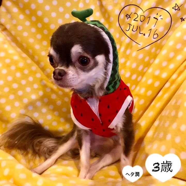 636d2407 ef90 4d04 a373 4e3bab98fd1b