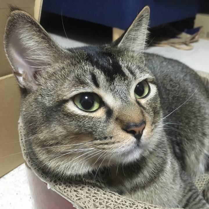 636d7c60 c2b9 4e07 81f8 19d1291bf865