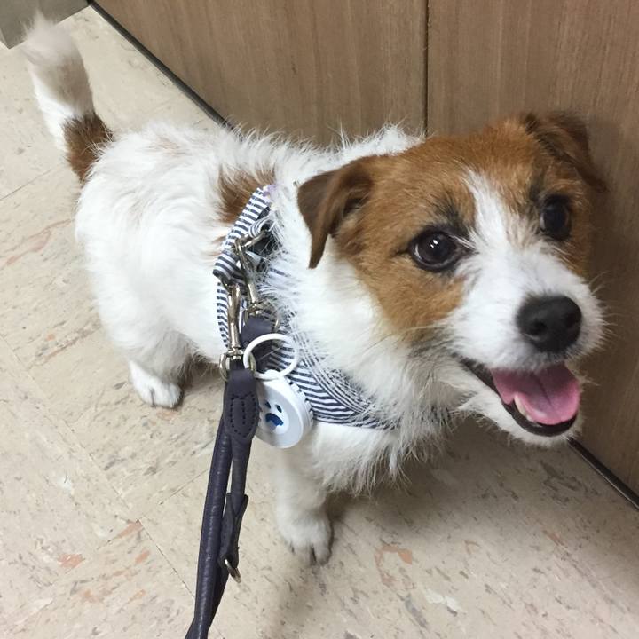 636db854 618a 4abe a37c 7b7632460ea7