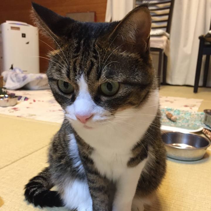 636df274 4310 49b4 8427 8132e5a11f23