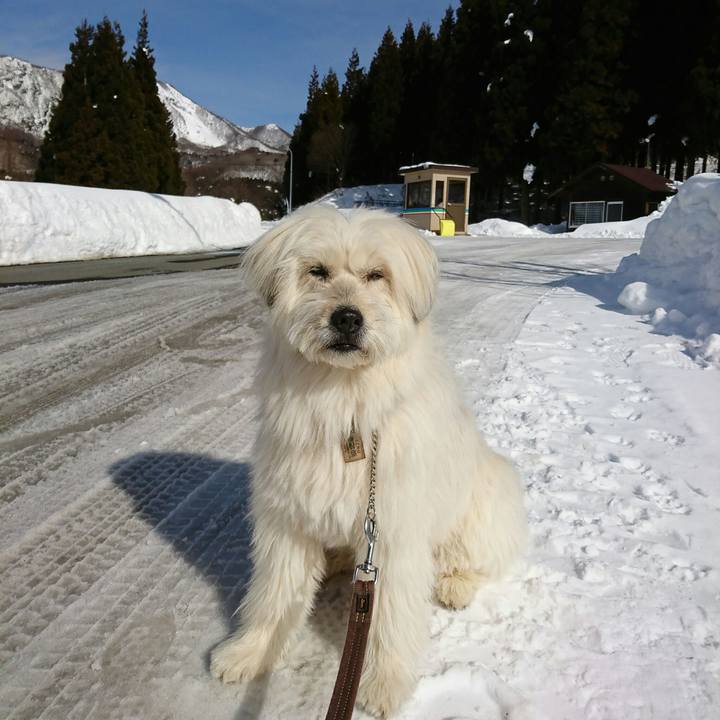 636e023d 62ed 4e70 81f8 99916214a6d7