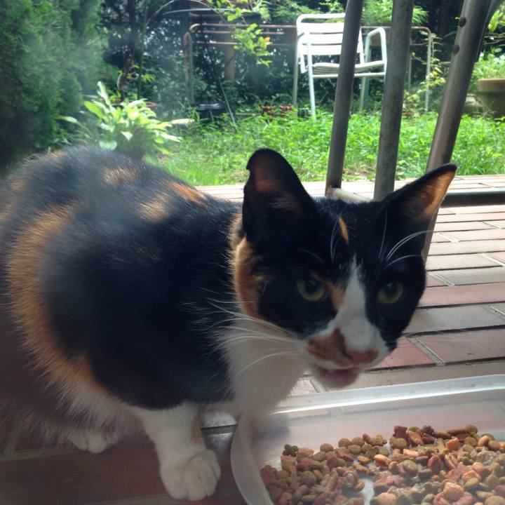 636ed09e 3510 42ba 87c9 ceecfdf70bb3