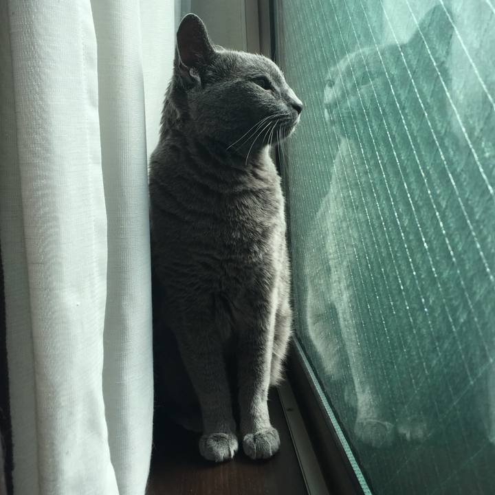 636ee563 f3b4 4861 a936 b19f1d7bc48c