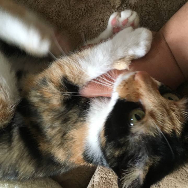 636f9980 8199 4045 9fdf df2d55c8ce28