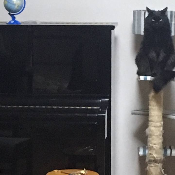 637019a3 3668 4a0b 8b62 97808430d639