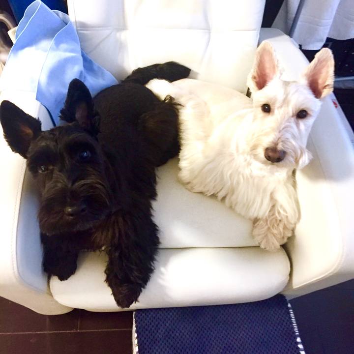 6370252a fdae 43ce a203 5a6b4d00baf9