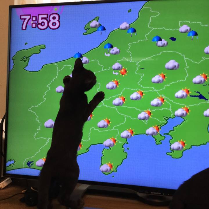 6370749f 1b8e 47fd 8535 674df884df5d