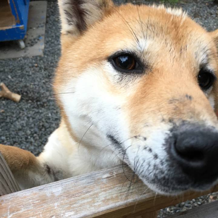 6370b271 06b2 4b8d a8a6 820938fad02f