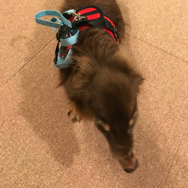 6371003b bd40 4ee7 8cc9 6865f1467c52