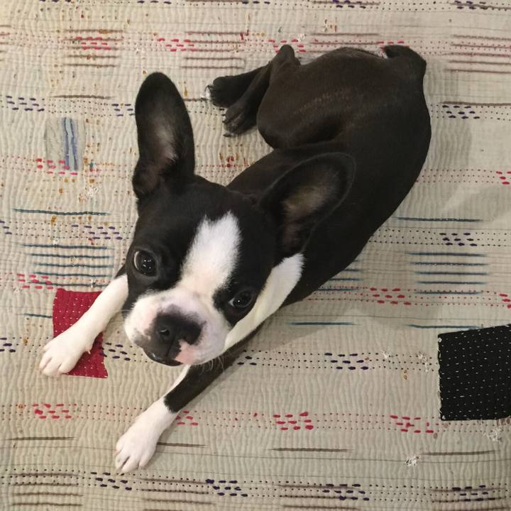 6371384a a9ef 451e a30a 51fb41b98338