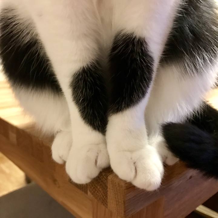 63724e86 a7dd 4560 ae0d 32cf9433a1a3