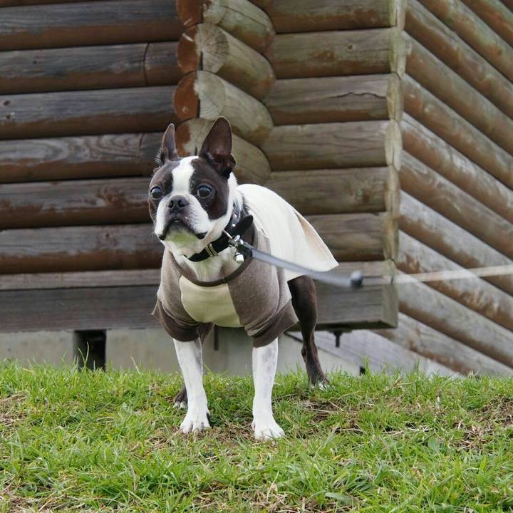 6372b66b 13eb 4aab a7ef da9fe3a42aea