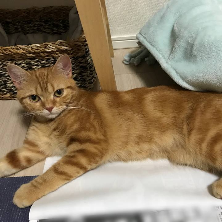 63731a2a e8e6 4865 8458 82650fe3f780