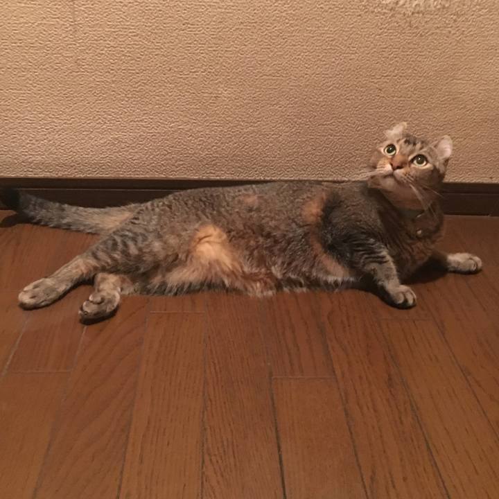 63734f19 88a9 4de5 8fb0 4c9ca627bd1c