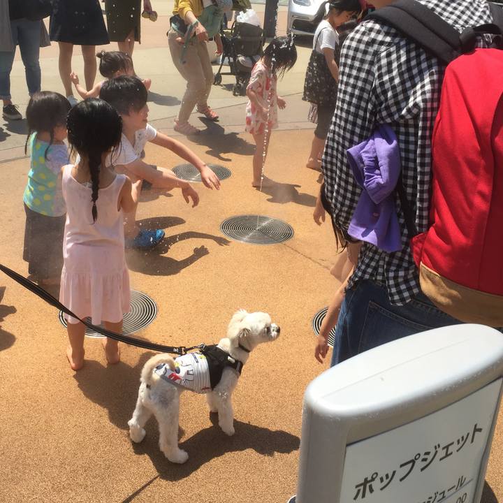 6373eb5d 84ee 4b8c 91ec f4657b6294e0