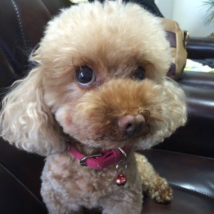 6374722d cfcd 406b a208 fbbc076ba90a