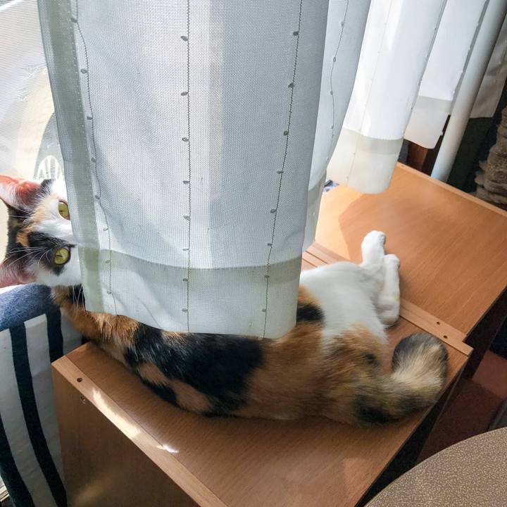 63759f8c 65c2 4808 912e 470981be6e08