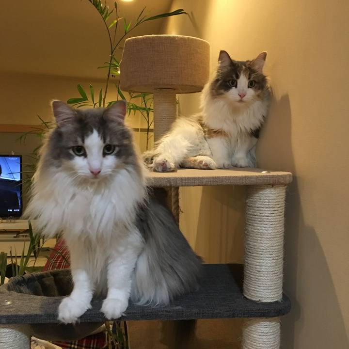 637625f4 7170 4e01 a536 04d0b3fd0514