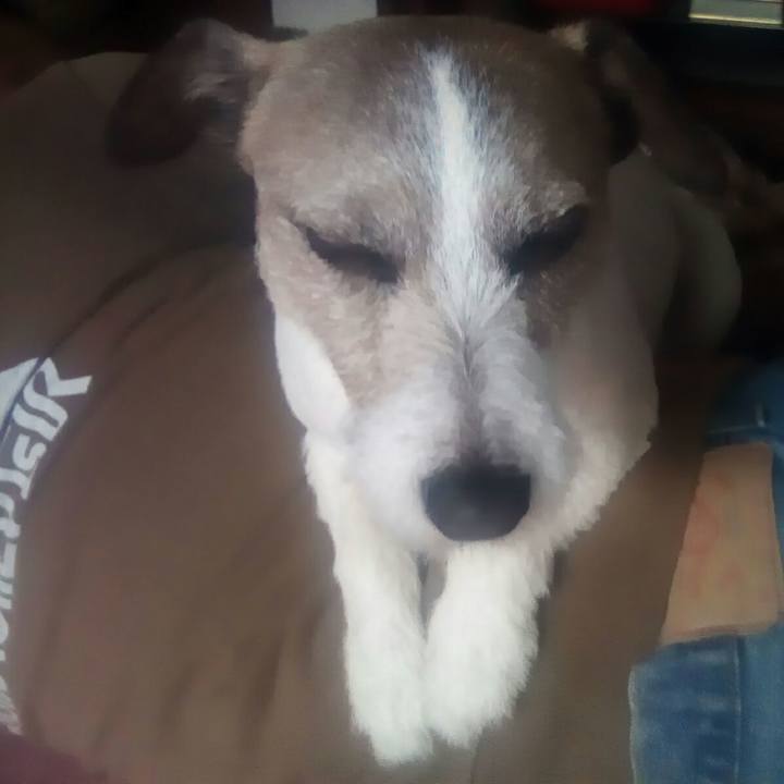 63764c8c e55f 4856 9be6 183f7db82011