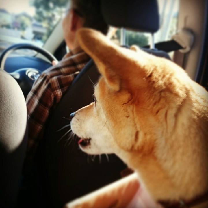 6376d1ce 0aca 4983 a639 431f3b9b34be