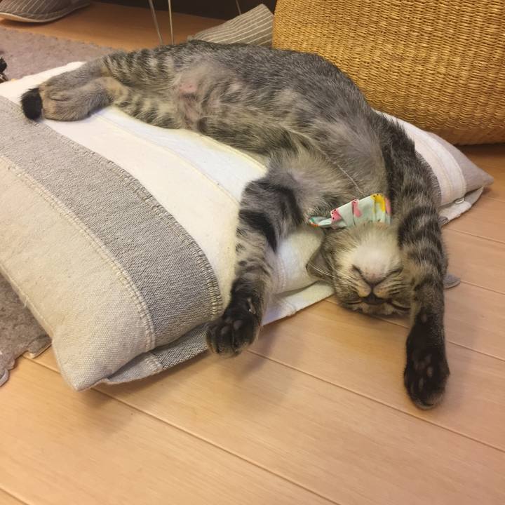 6376ecb3 1c33 4e2f 9514 092c972226d3