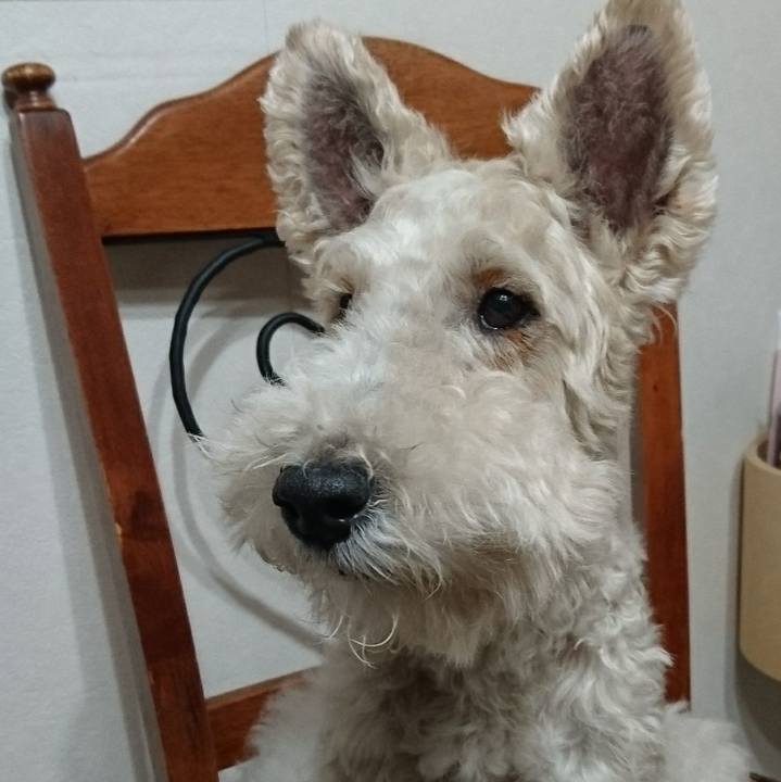 6377af7a 690e 4ba5 85b4 6f70a395d758