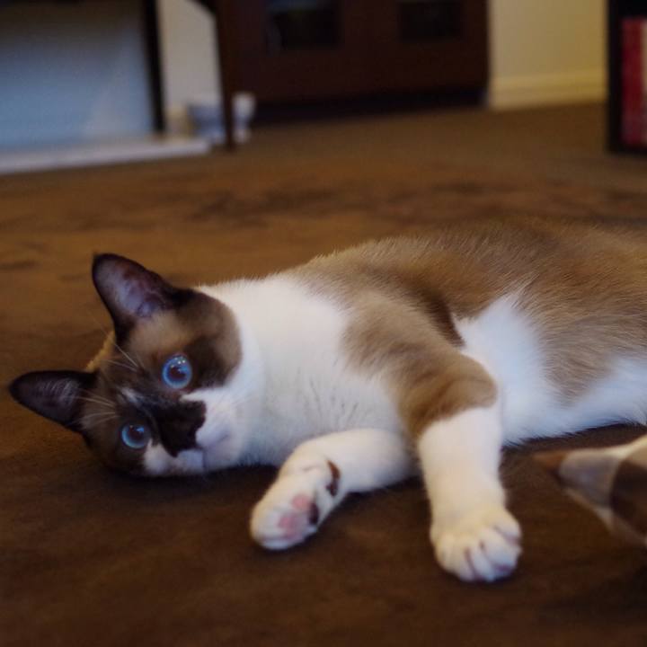 6377bcb6 9627 4406 a01c 22d111cea282