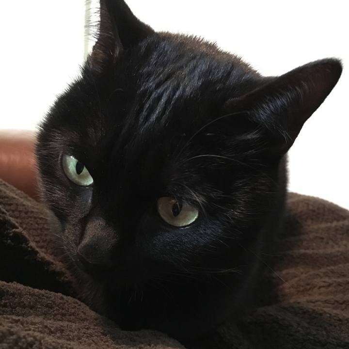 6379f3fd 5530 4858 95cc 0e73054103b1