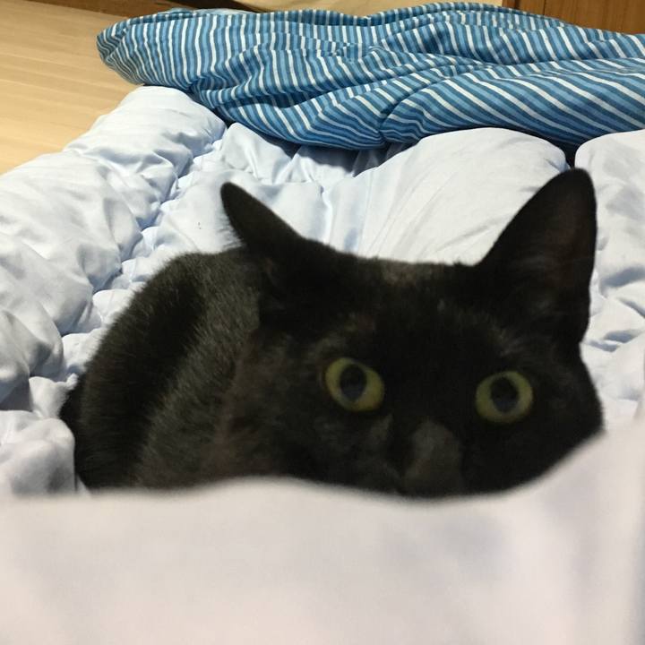 637b5264 4d59 4adb a3f4 ede32615745b