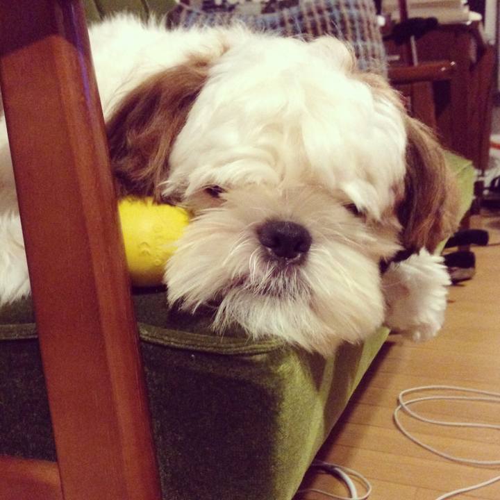 637c6fec 6c72 488c 97a1 22949b6d376d