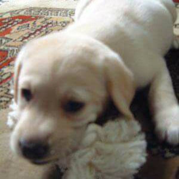 637de1a7 bf27 4fda 8cff 9272ffb039bd