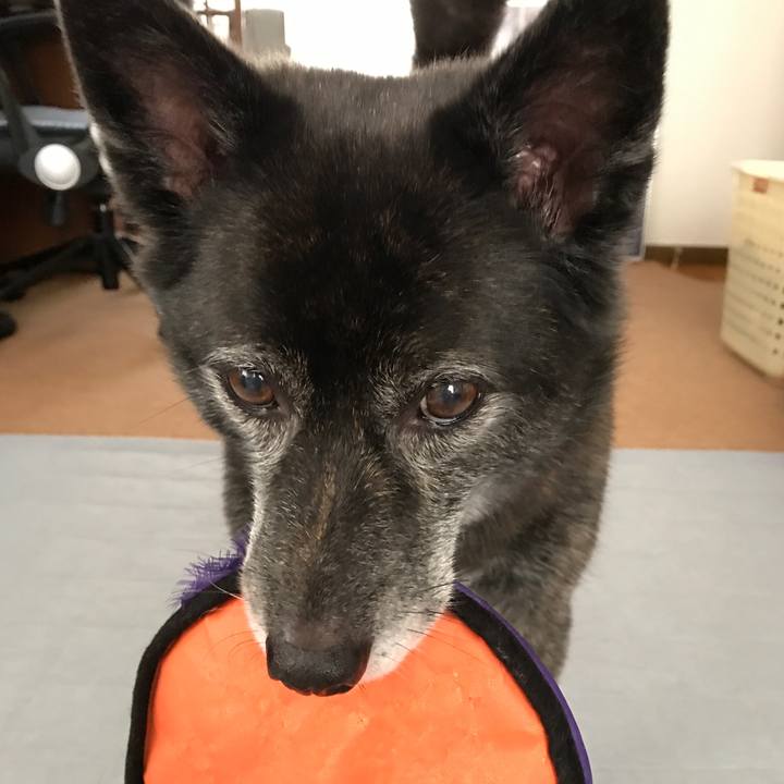 637de1f1 1d67 4a32 909e 093c0e3e4fd0