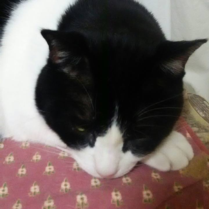 637e4c18 a4f8 4832 949c ea254abbf8c2