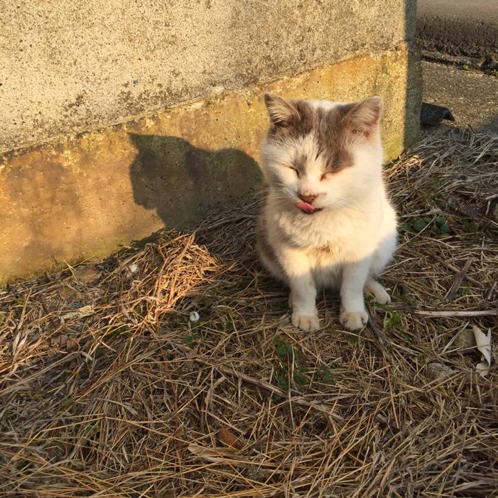 637eb0c2 39a7 4db6 b9d8 74171dc3ee0d