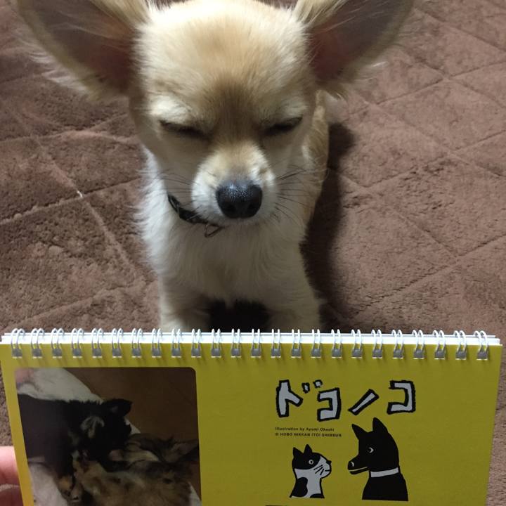 637ef5fc 5af2 4746 ac85 7bc2e657aeed