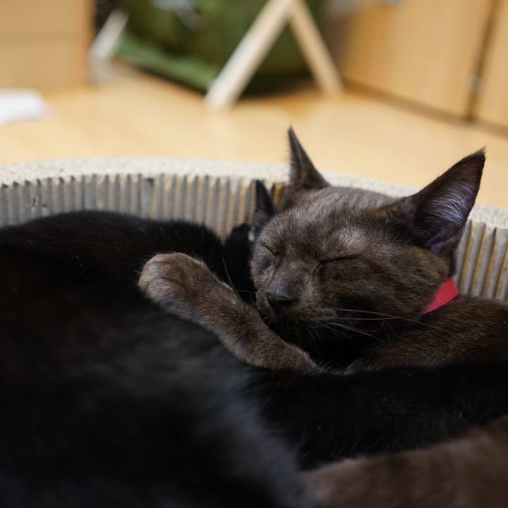 637f2988 7734 4e09 b6d0 61d629151919