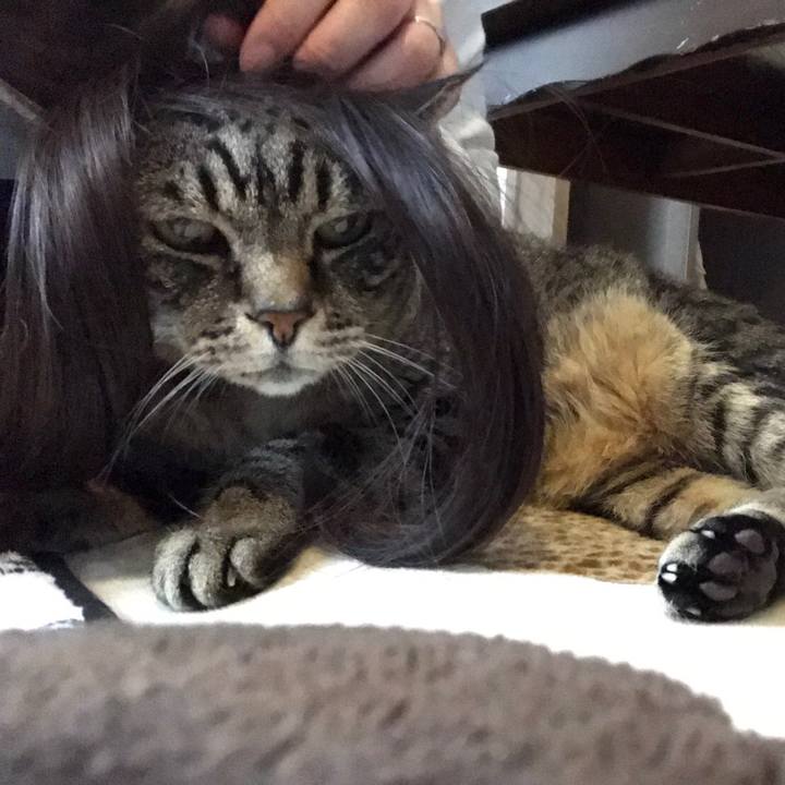 637ff96d a0be 424b a534 fb8fae31ff4c