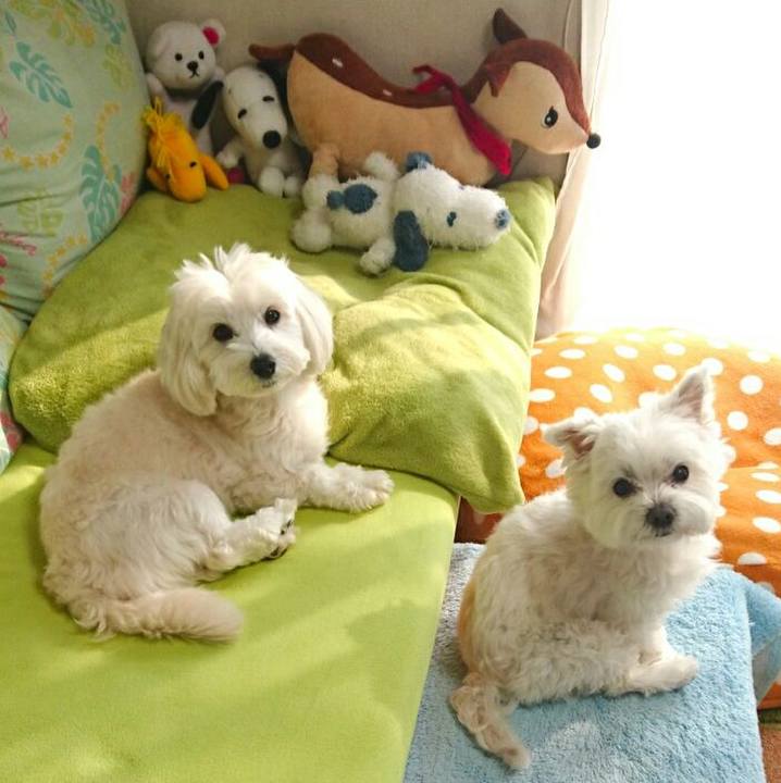 63803feb 7543 45a4 9f0f 00b72a3c70e0