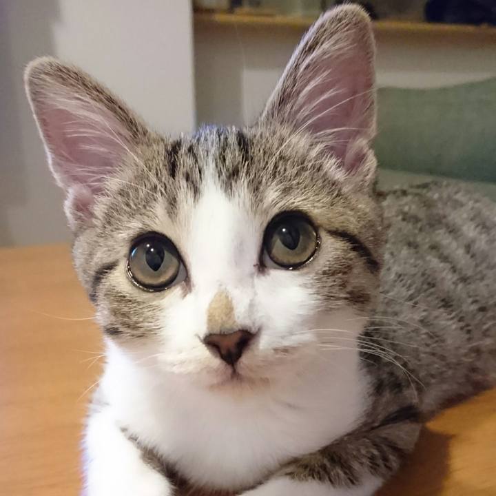 6381725e 7d65 4f5b 8c9e b83fa7f965bf