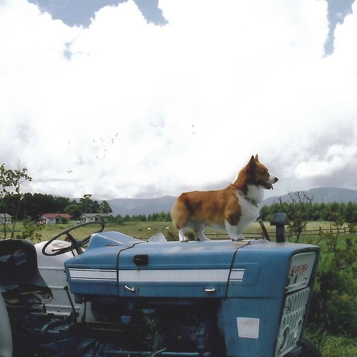 6381bfe9 79c1 4448 a363 bd65664fae83