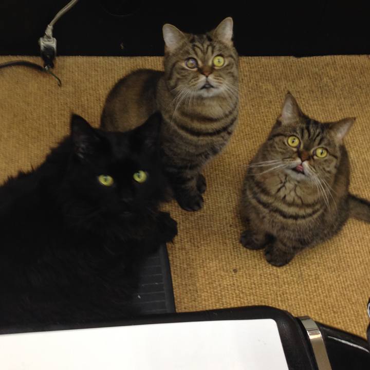 63820d3e 13c7 442d 8d9c 34a7a351012e