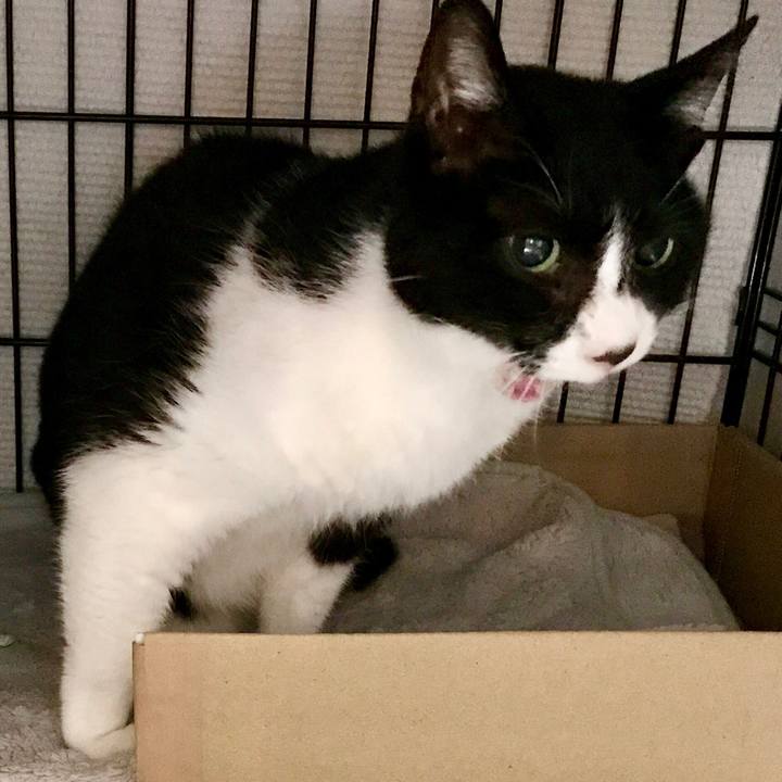 638234f3 da08 4ff5 ad3e fca63d0b9f86