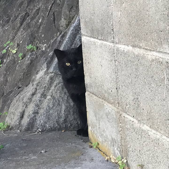 638259e9 c26f 49c4 99e1 bfb0dc9eb339