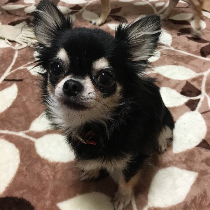 6382987b ae70 49e4 9465 2a23746f3230