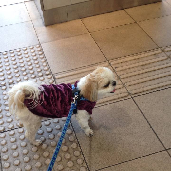 6382ebbf fb69 4edf abc1 032fb861e5c9